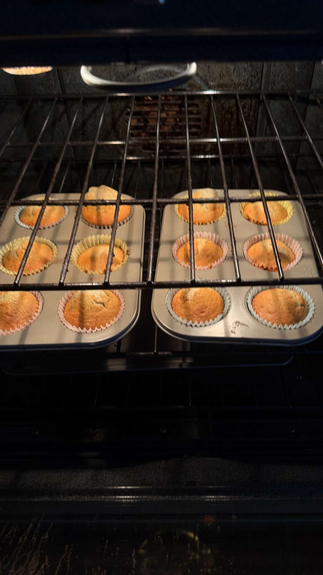 graceboor snapchat image archive image