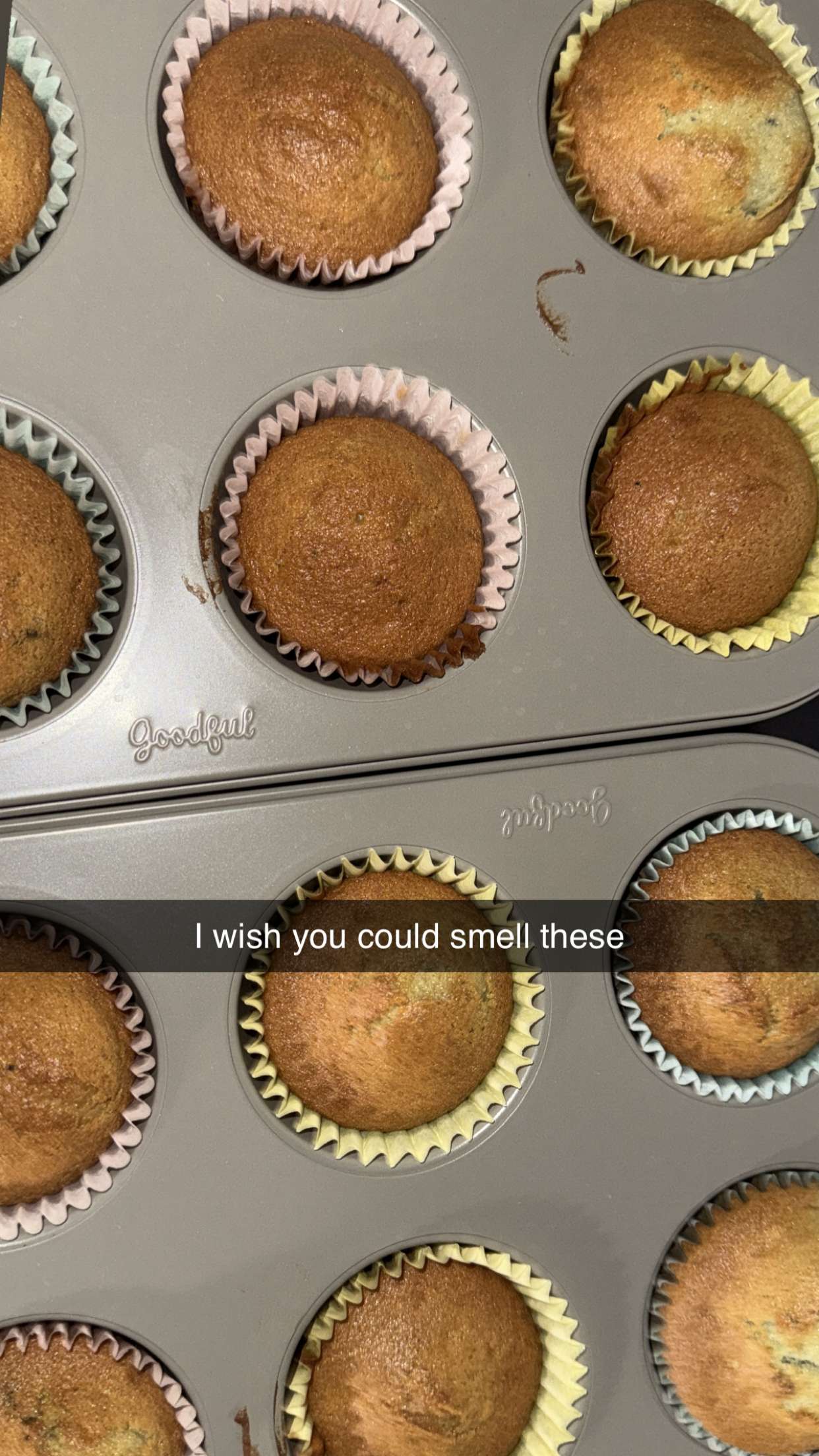 graceboor snapchat image archive image