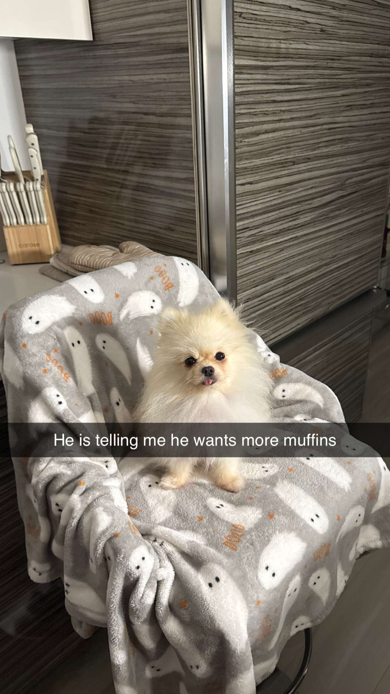 graceboor snapchat image archive image