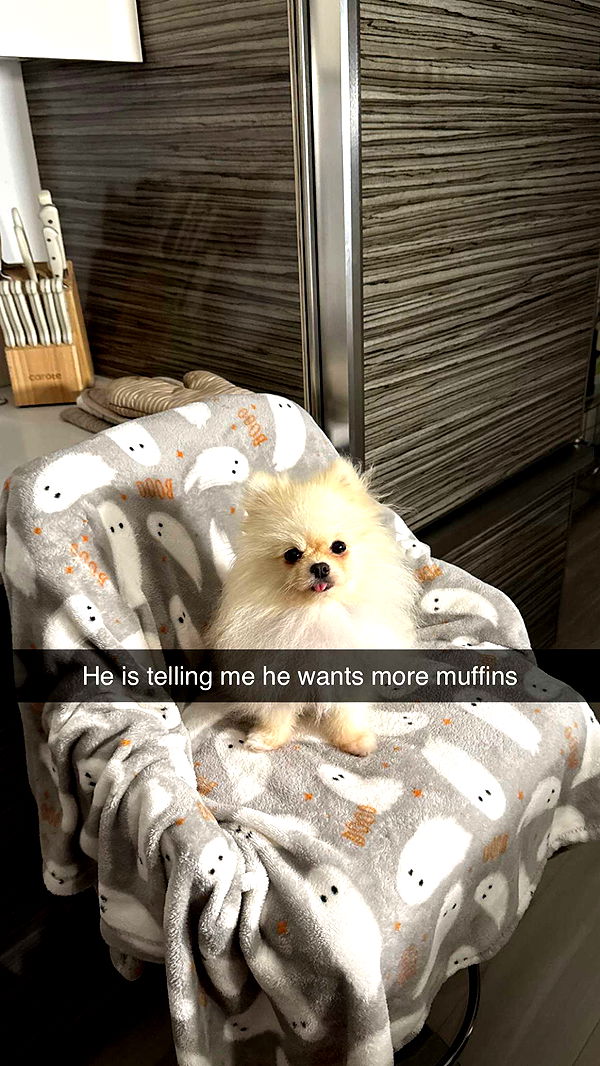 graceboor image ~ Altpins