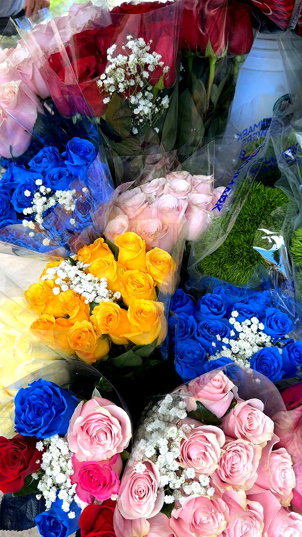 graceboor image ~ Altpins