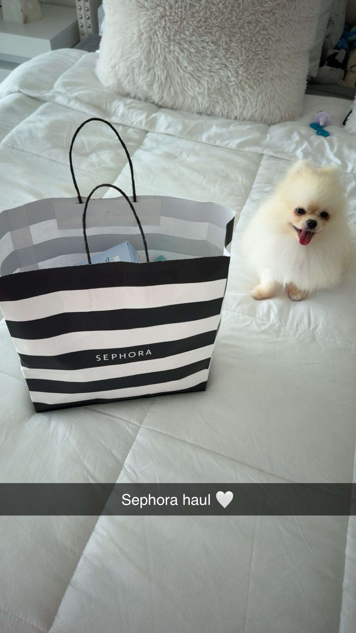 graceboor snapchat image archive image