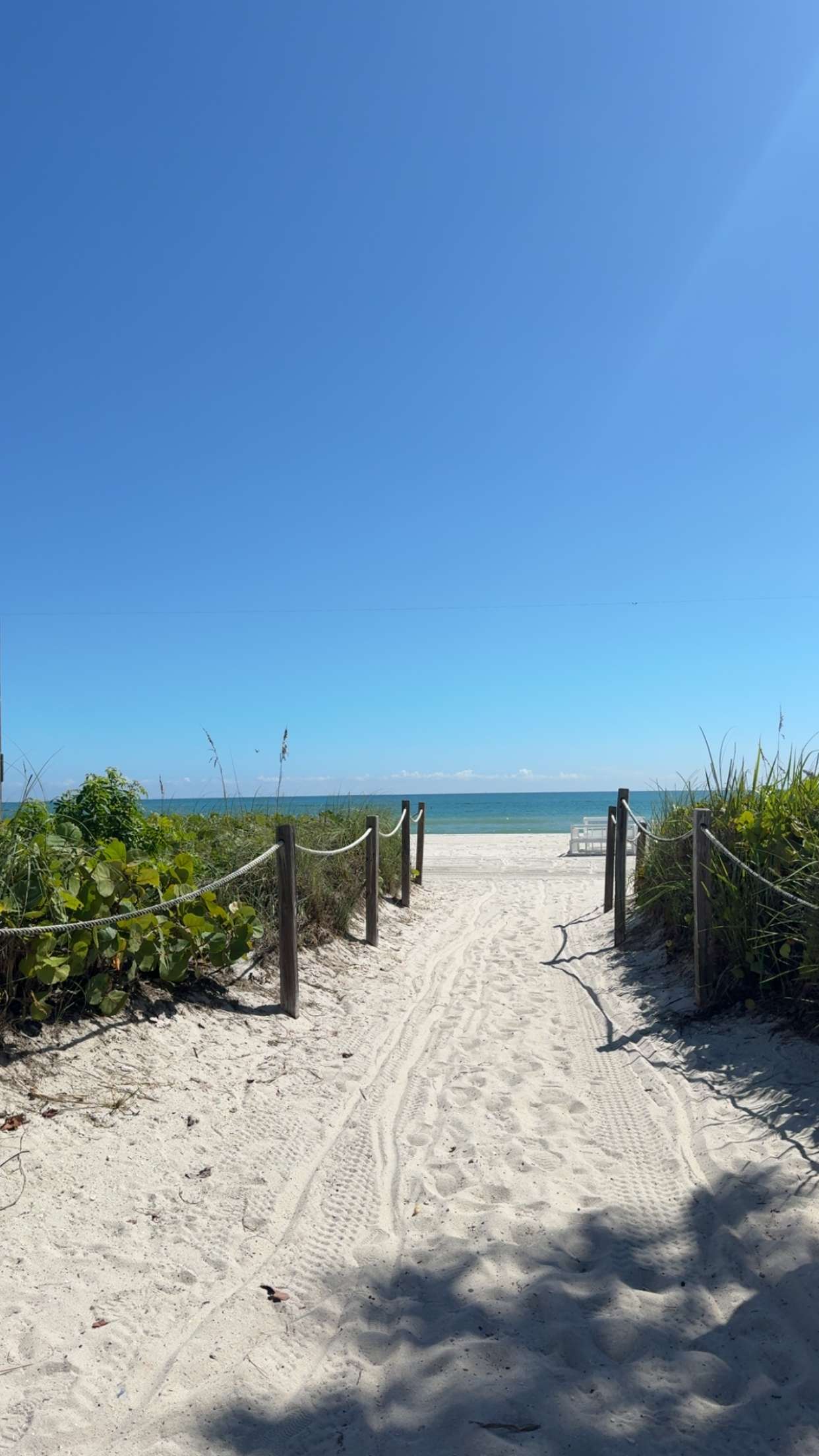 graceboor snapchat image archive image