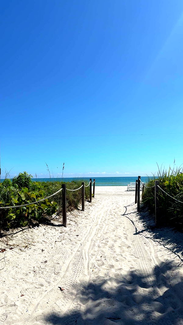 graceboor image ~ Altpins