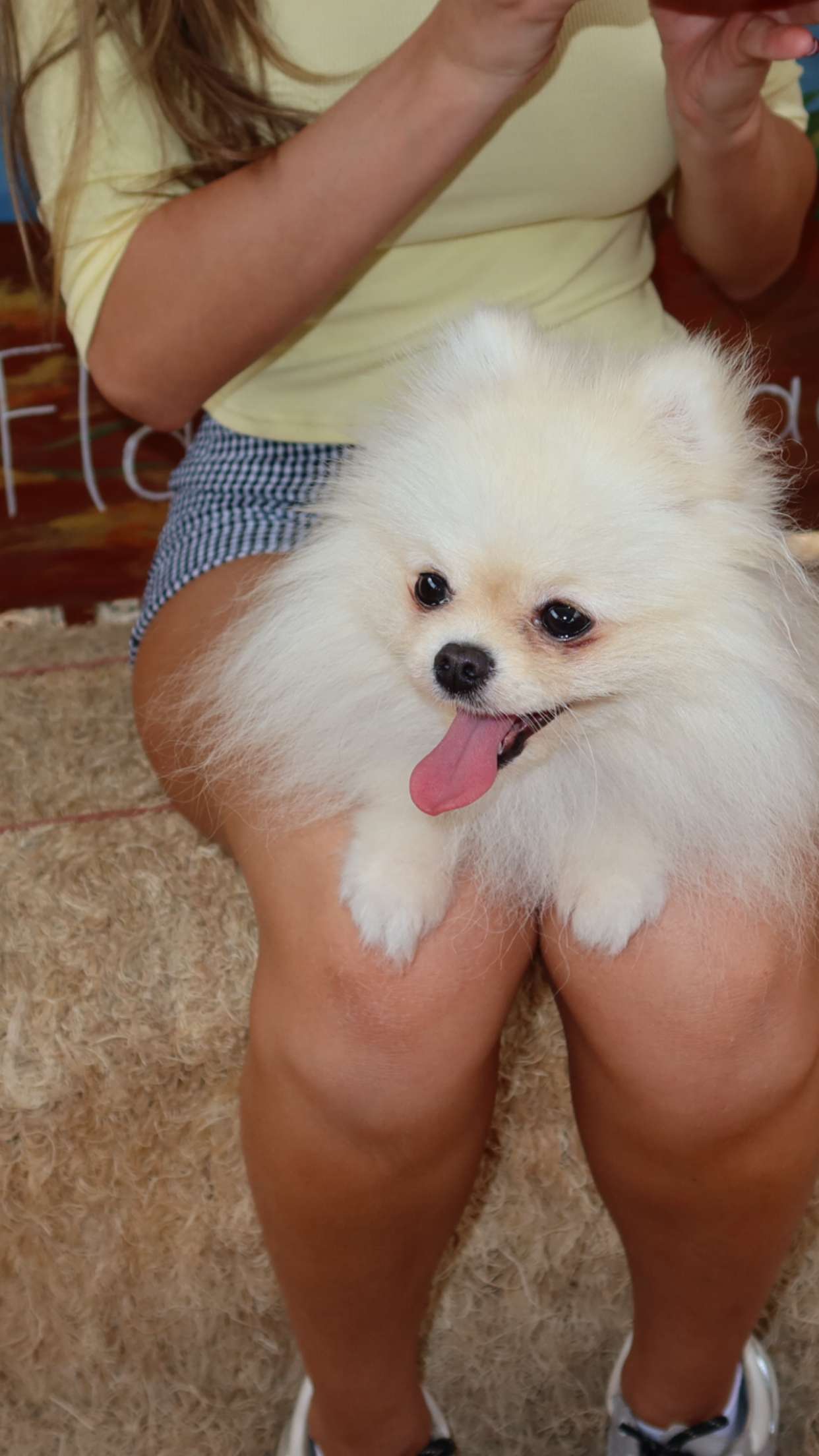 graceboor snapchat image archive image