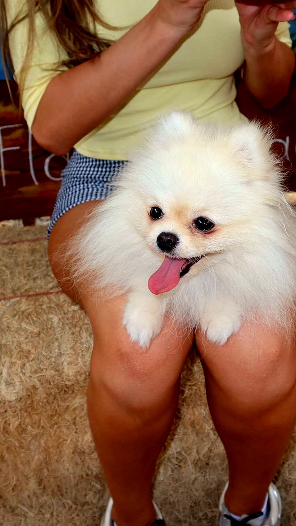 graceboor image ~ Altpins