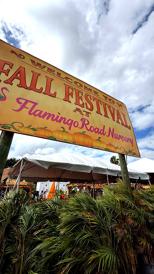 graceboor image ~ Altpins