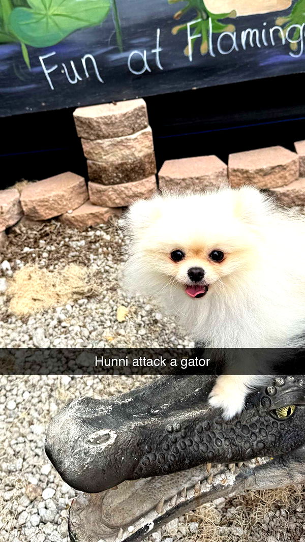 graceboor image ~ Altpins