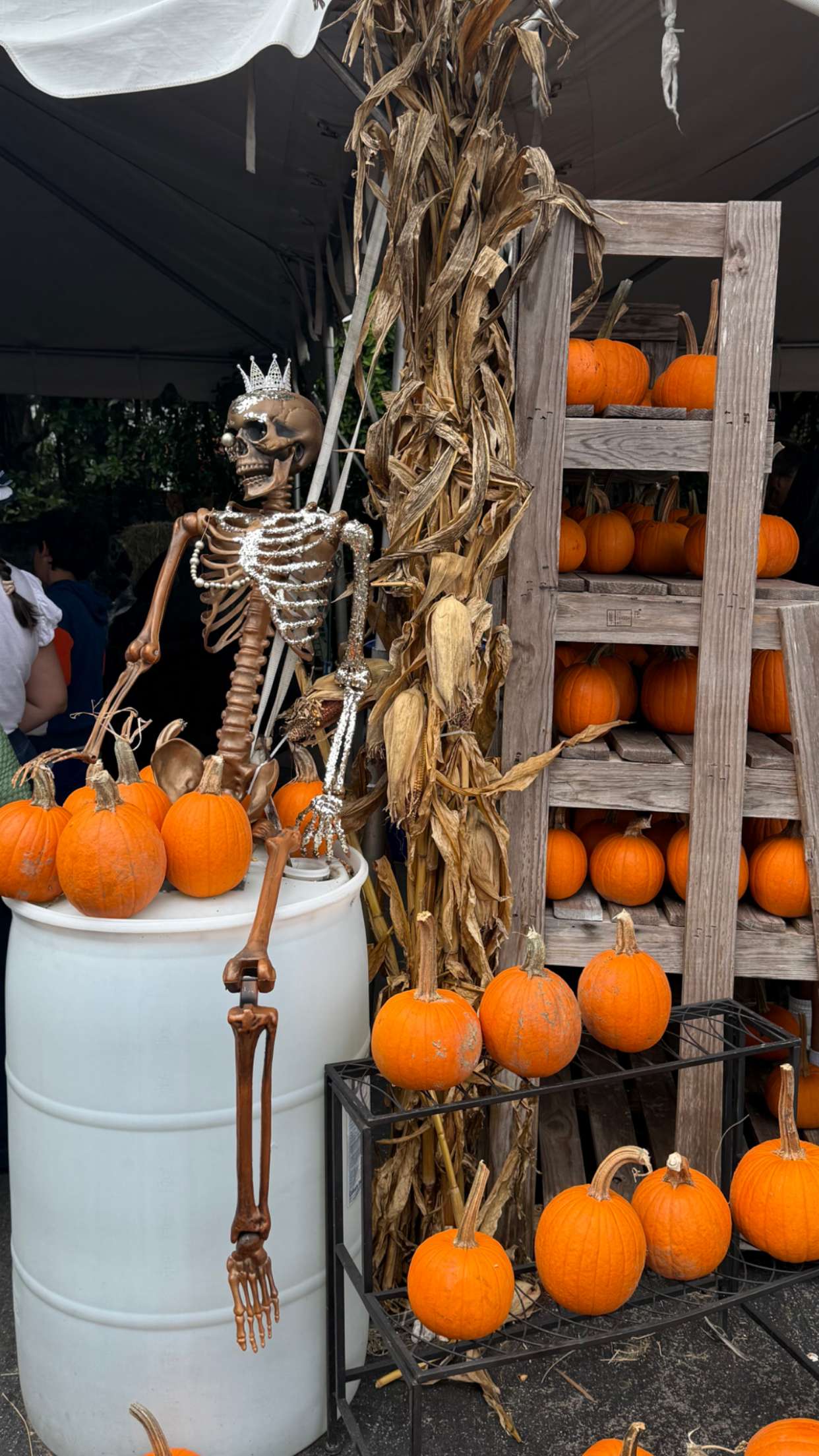 graceboor snapchat image archive image