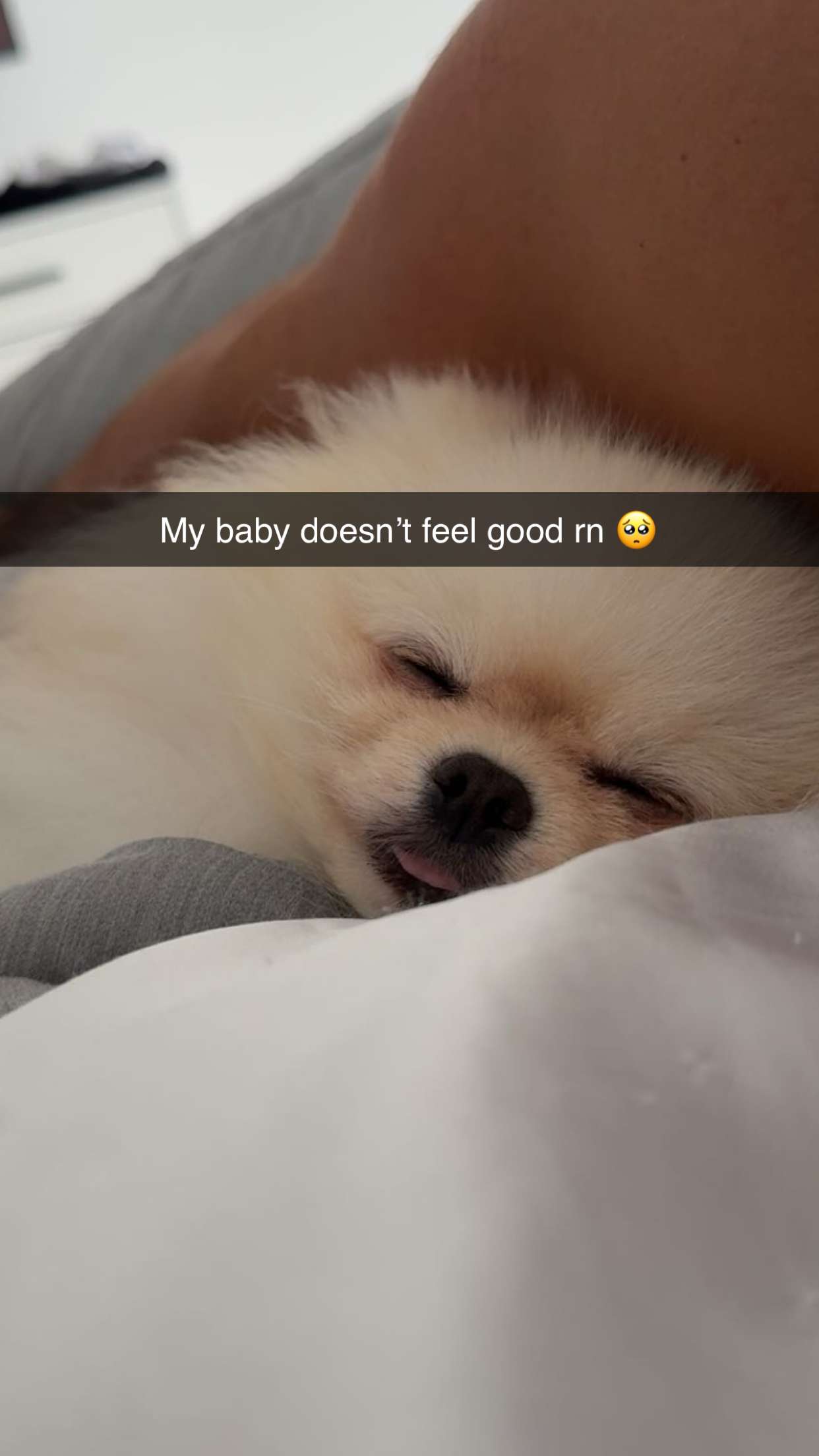 graceboor snapchat image archive image