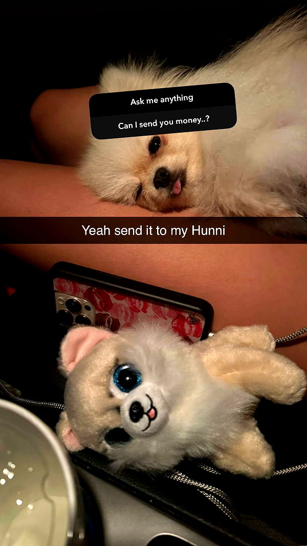 graceboor image ~ Altpins