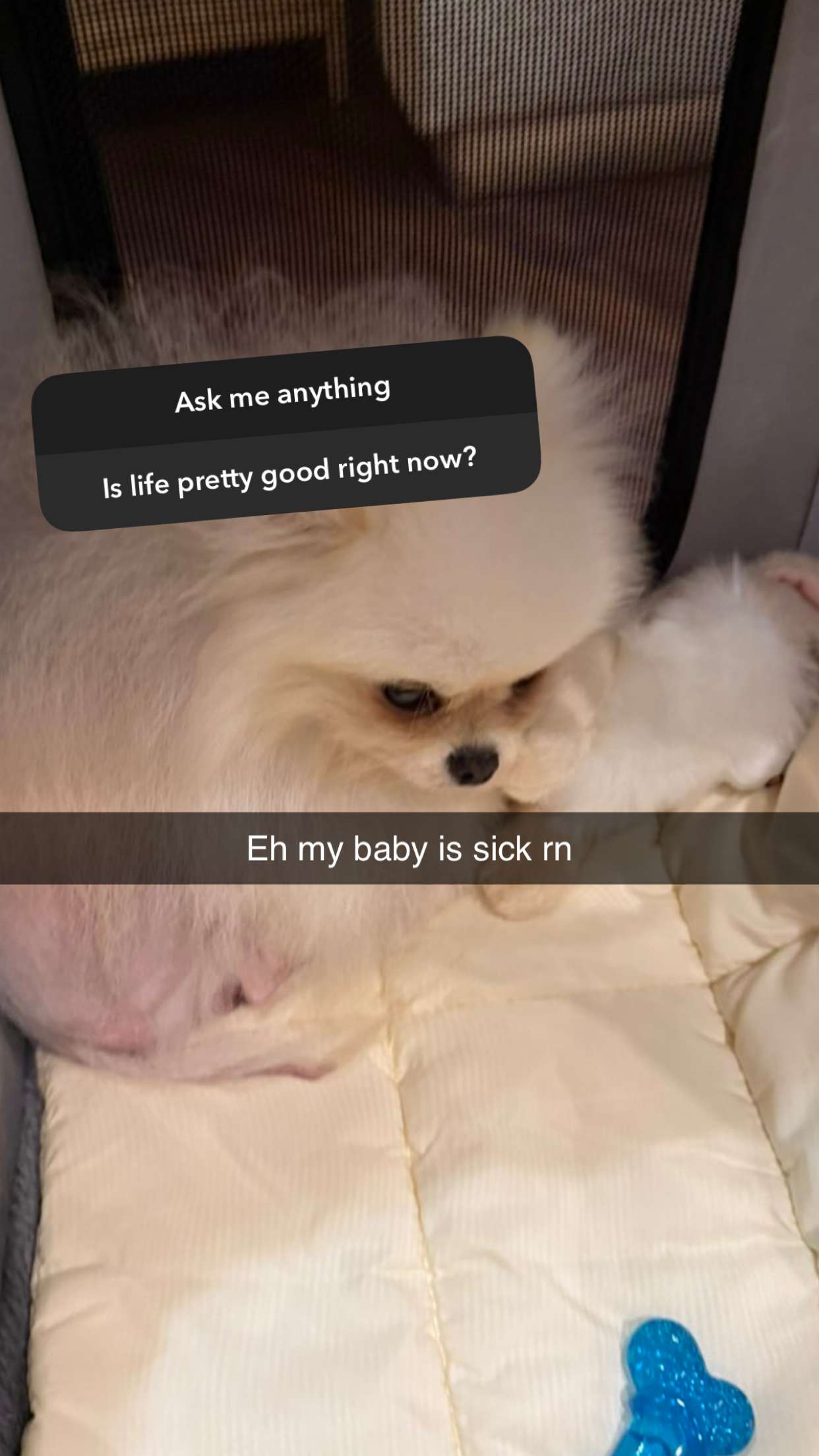 graceboor snapchat image archive image