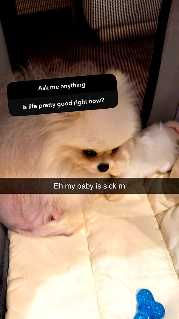 graceboor image ~ Altpins