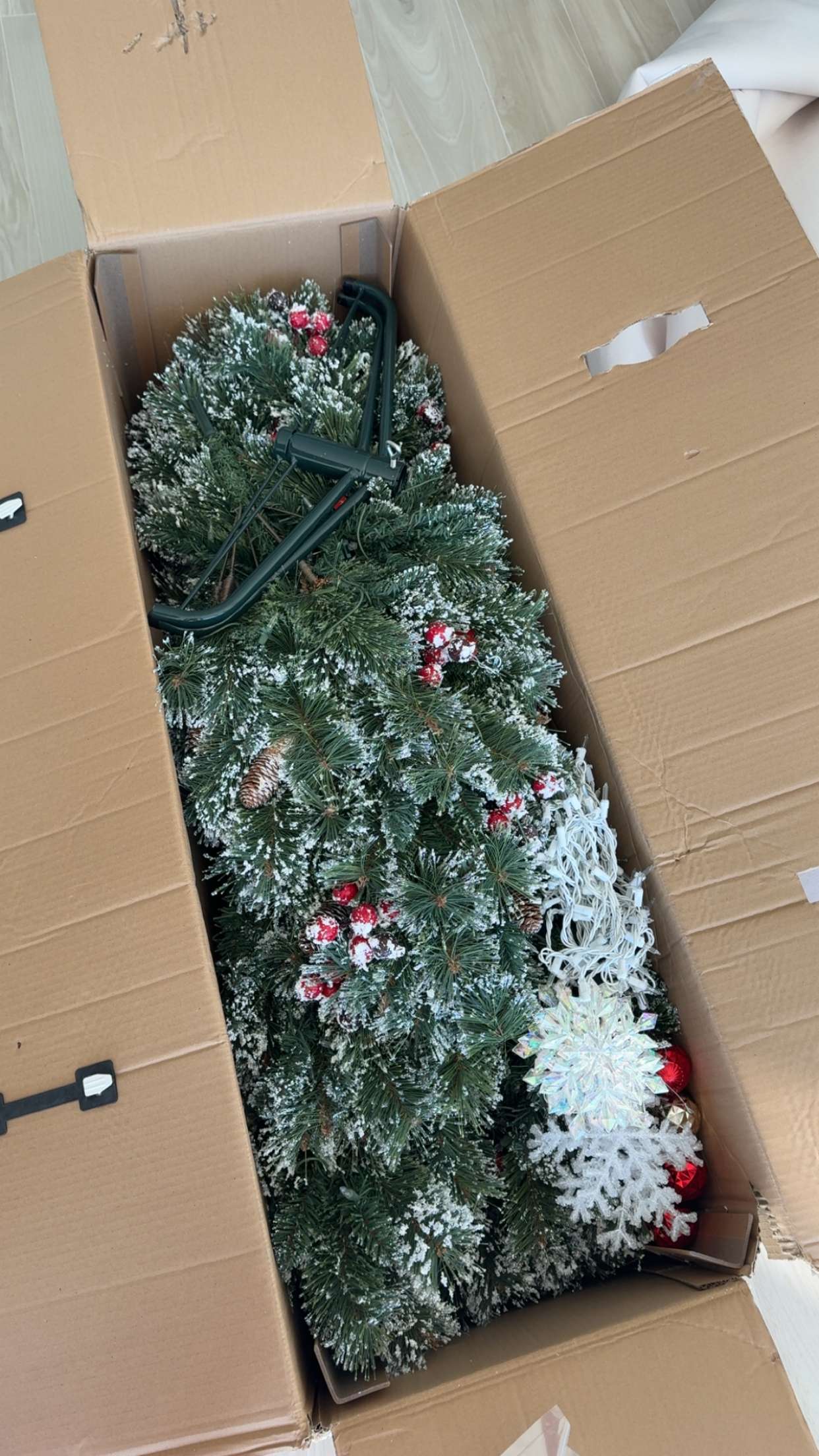 graceboor snapchat image archive image