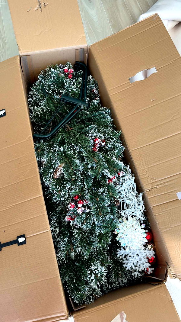 graceboor image ~ Altpins