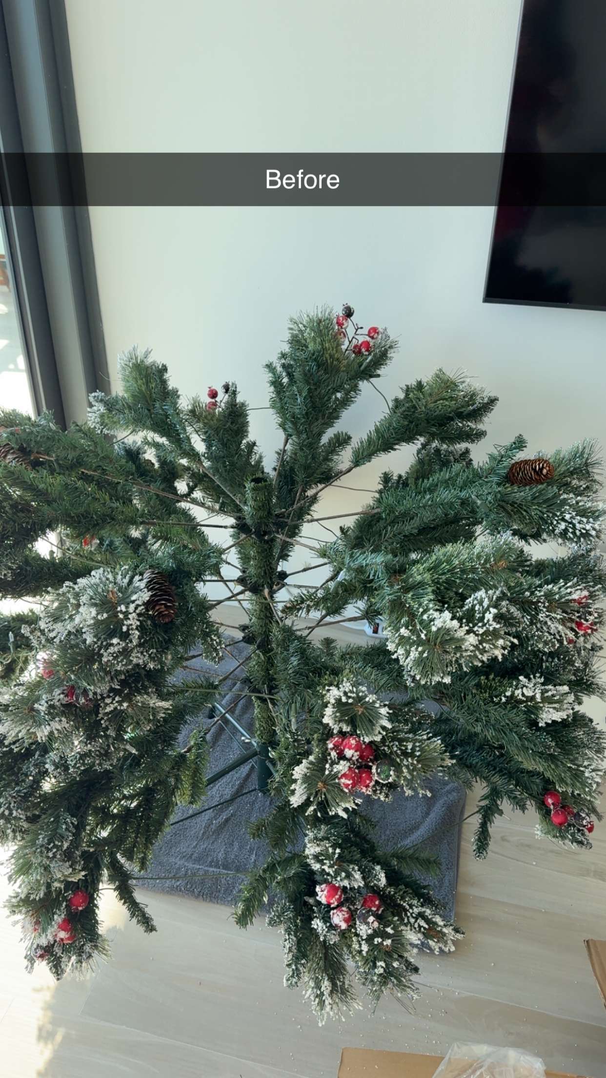 graceboor snapchat image archive image