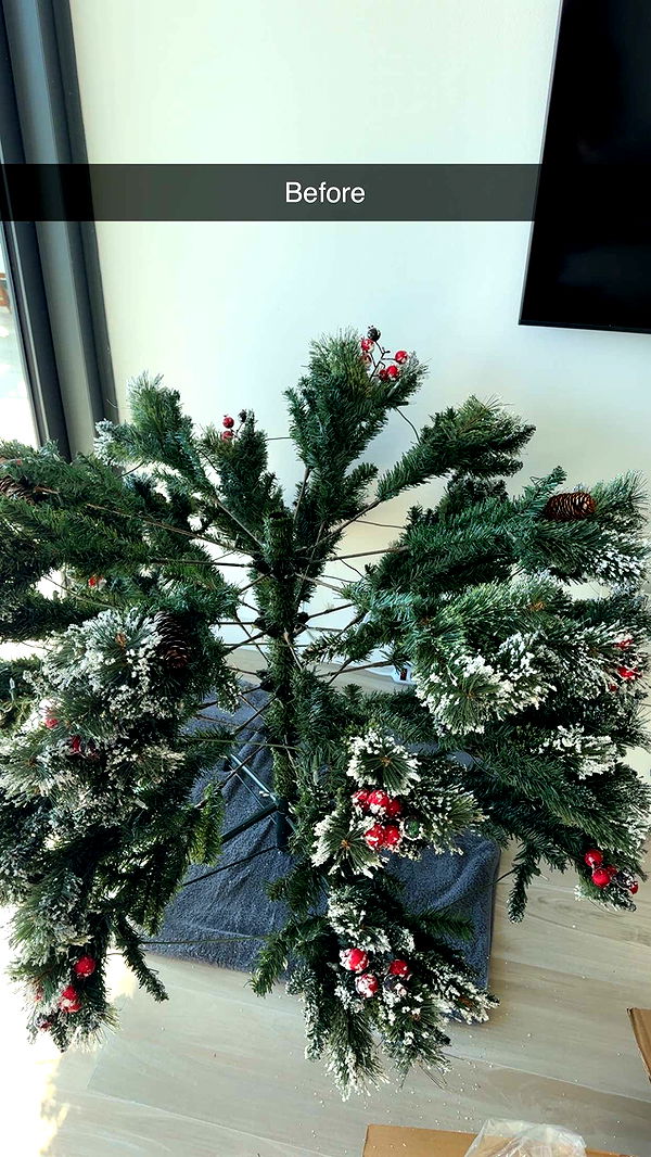 graceboor image ~ Altpins