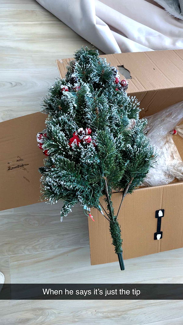 graceboor image ~ Altpins