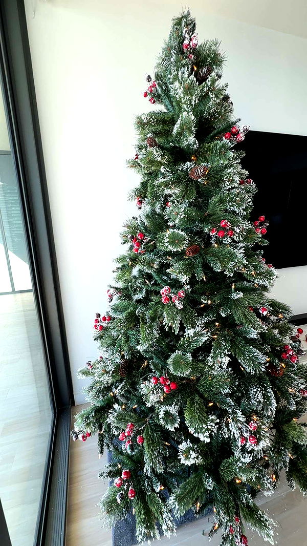 graceboor image ~ Altpins