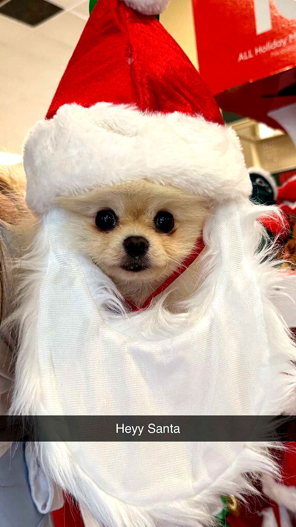 graceboor image ~ Altpins