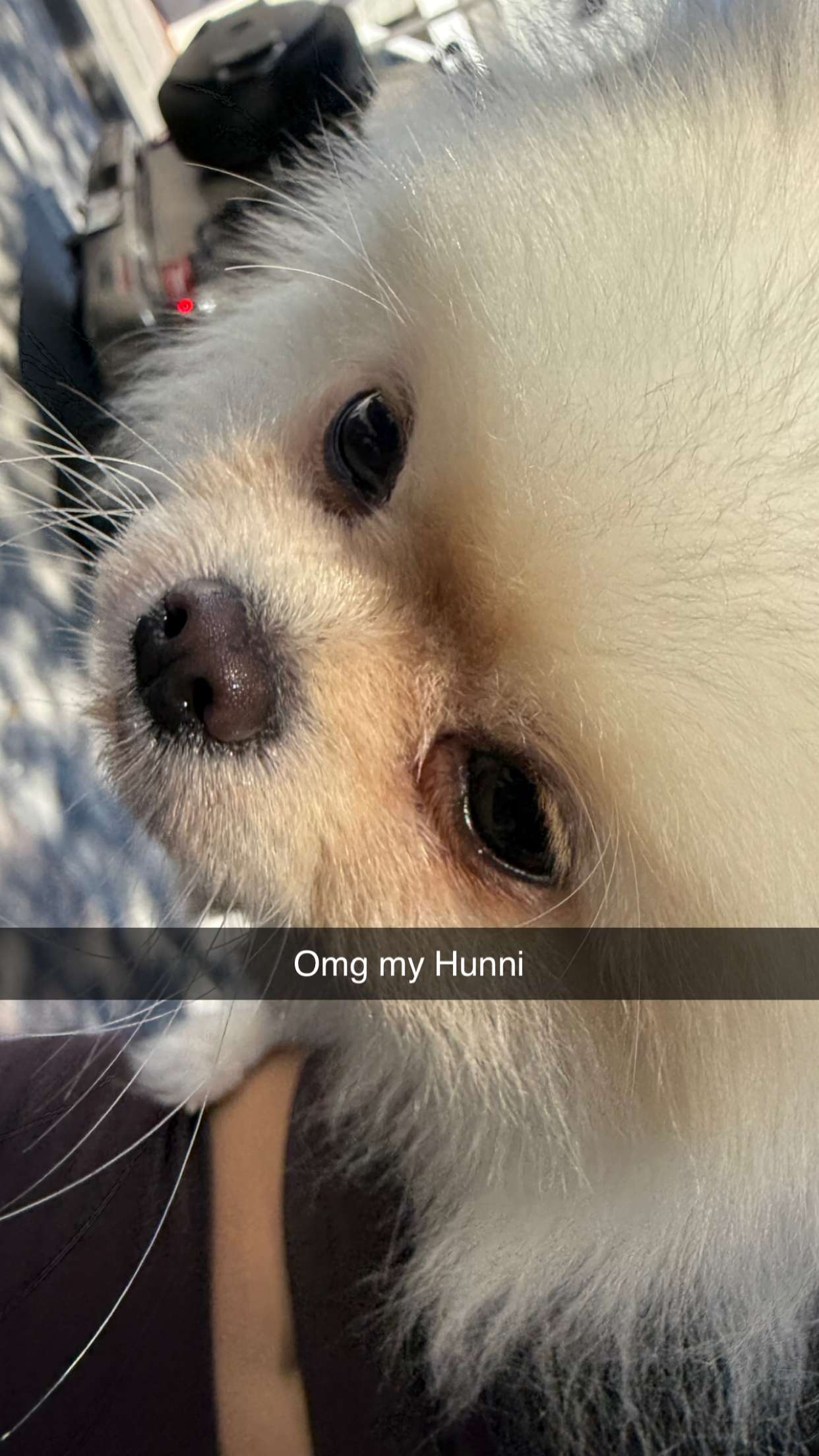 graceboor snapchat image archive image