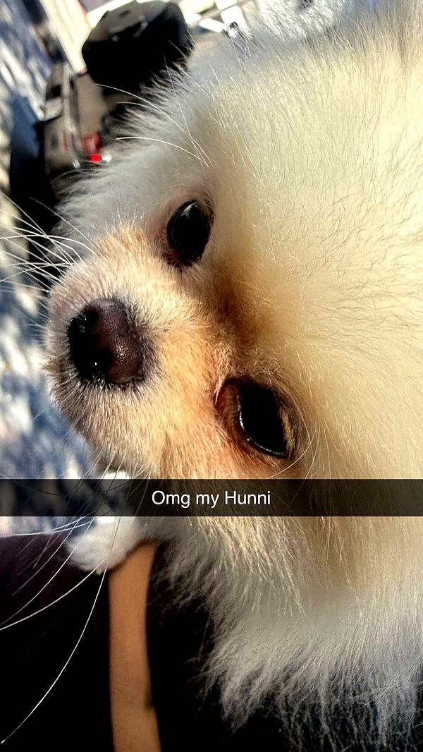 graceboor image ~ Altpins