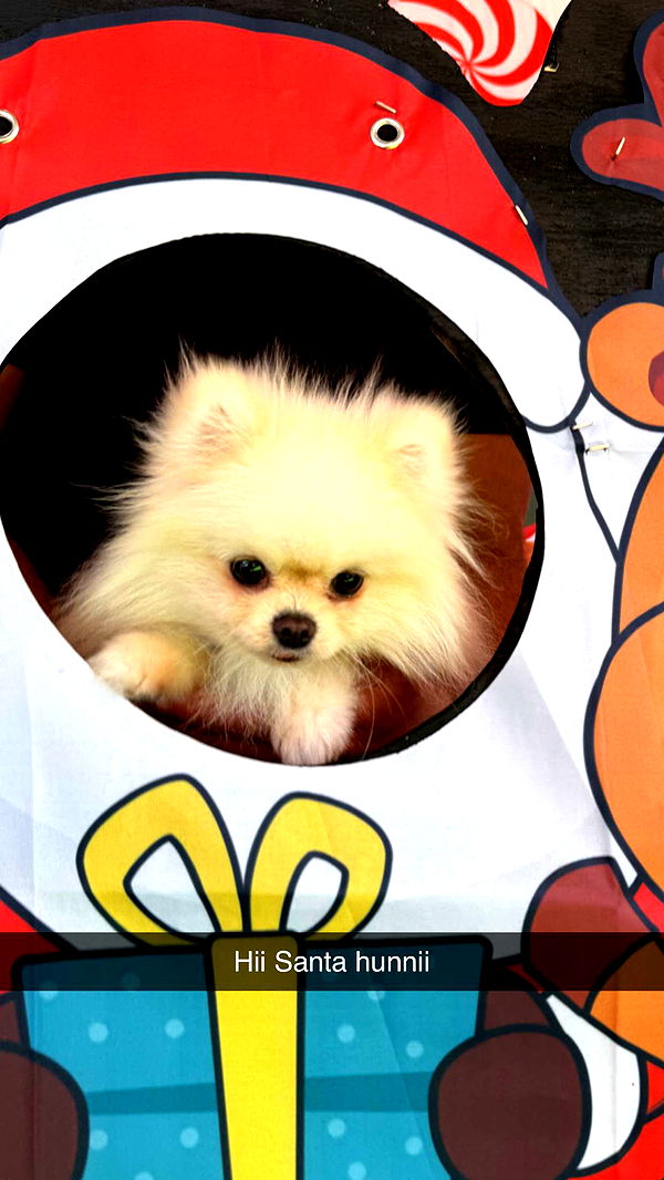 graceboor image ~ Altpins