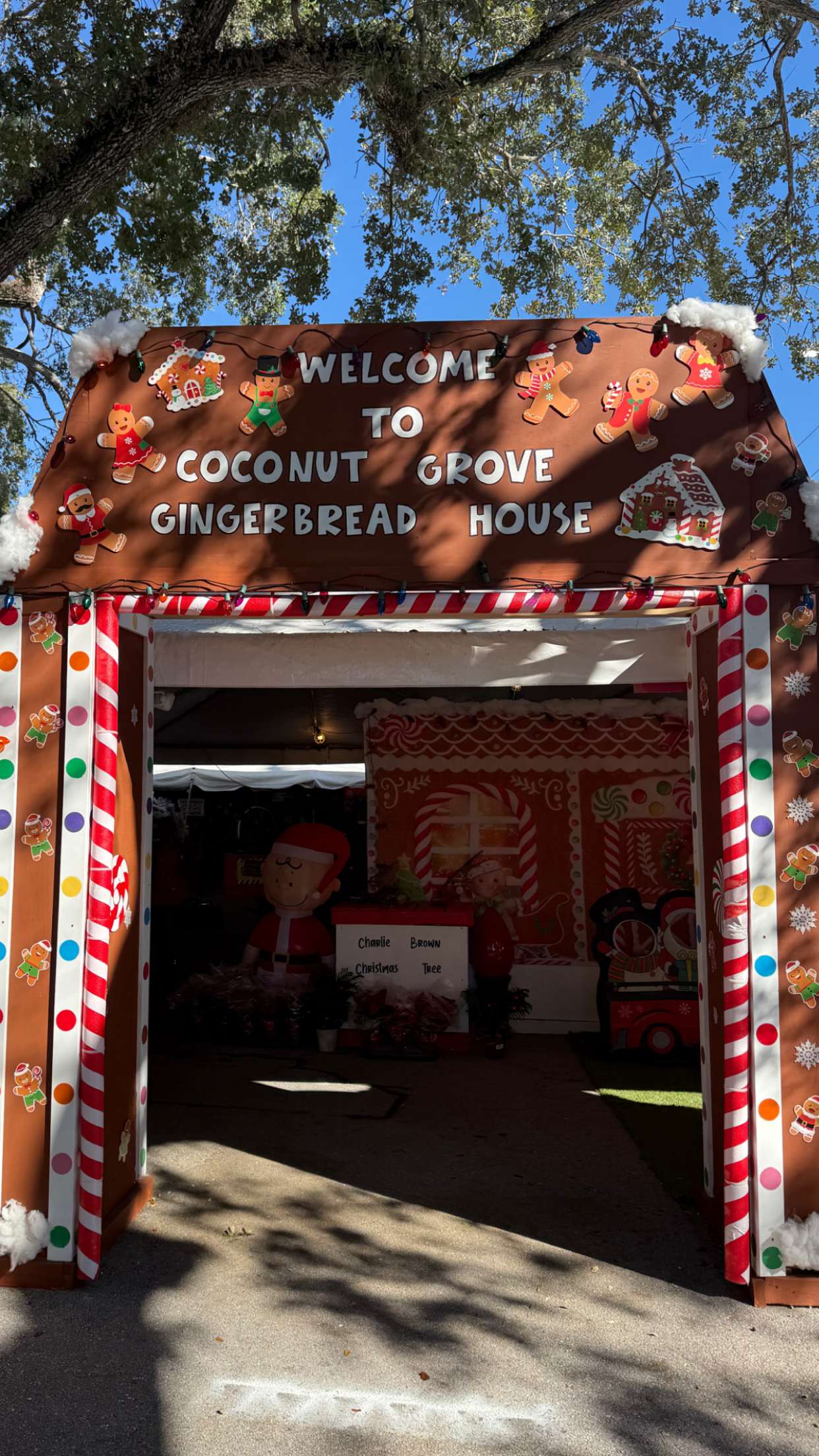 graceboor snapchat image archive image