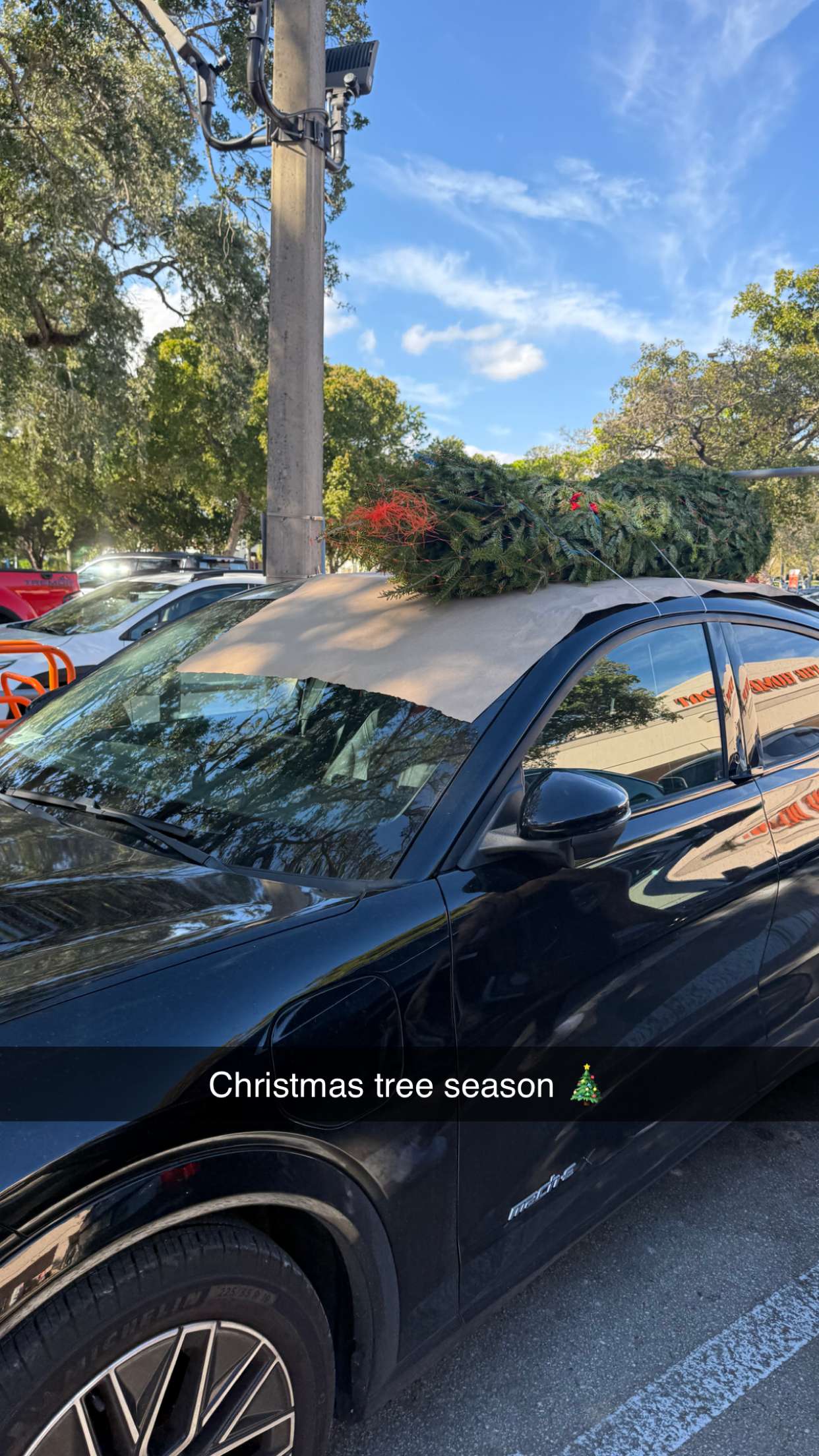 graceboor snapchat image archive image