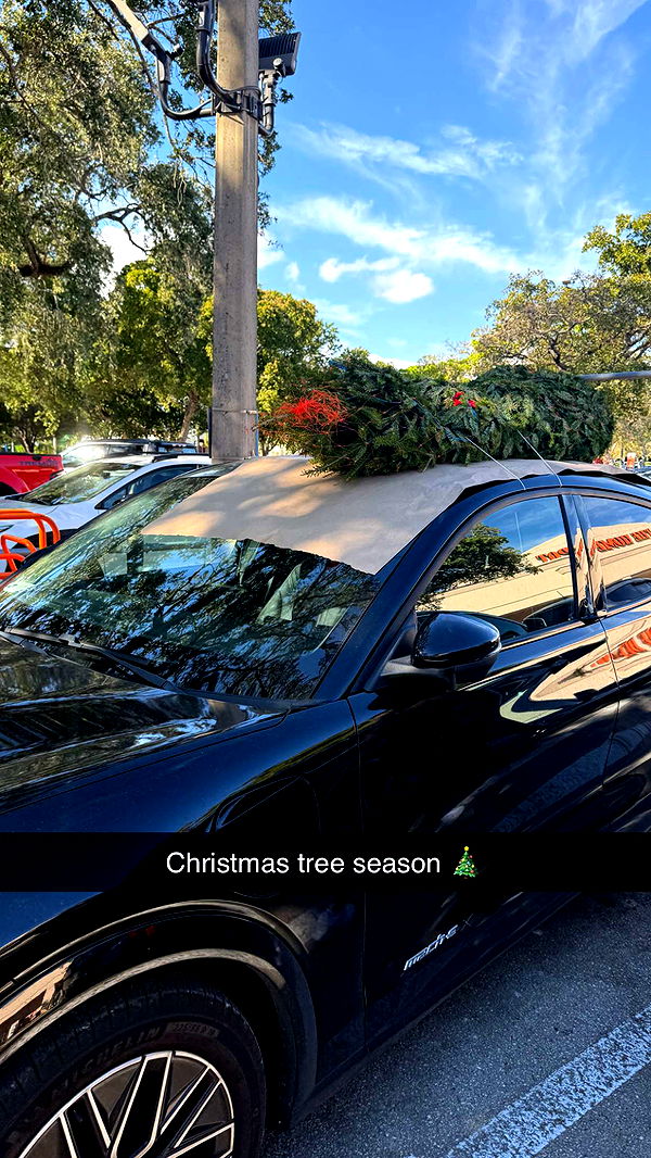 graceboor image ~ Altpins