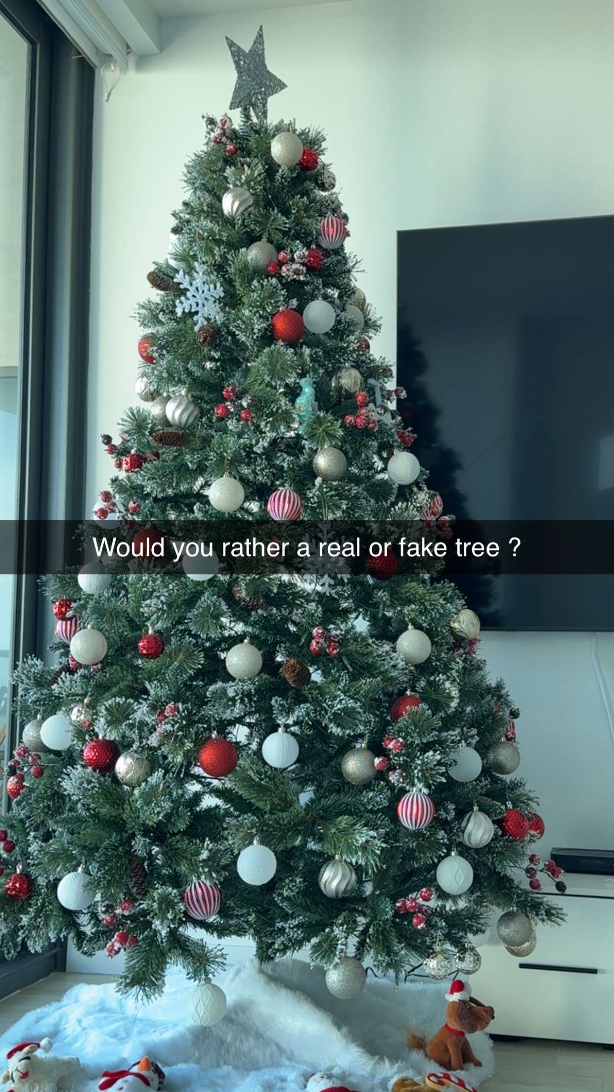 graceboor snapchat image archive image