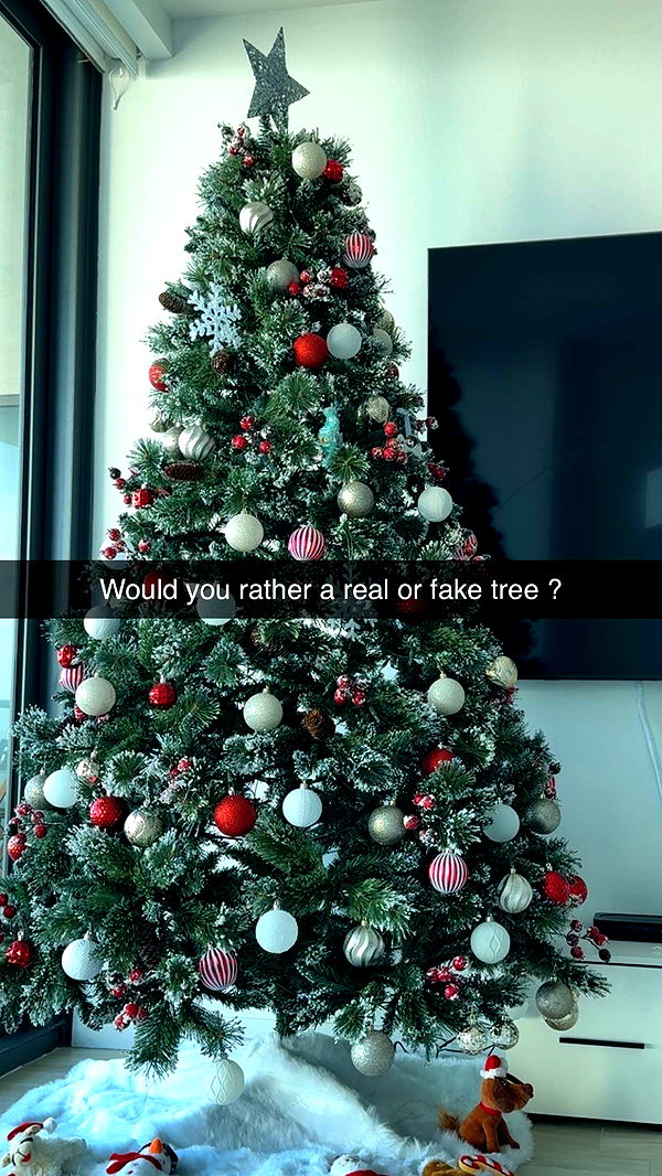 graceboor image ~ Altpins