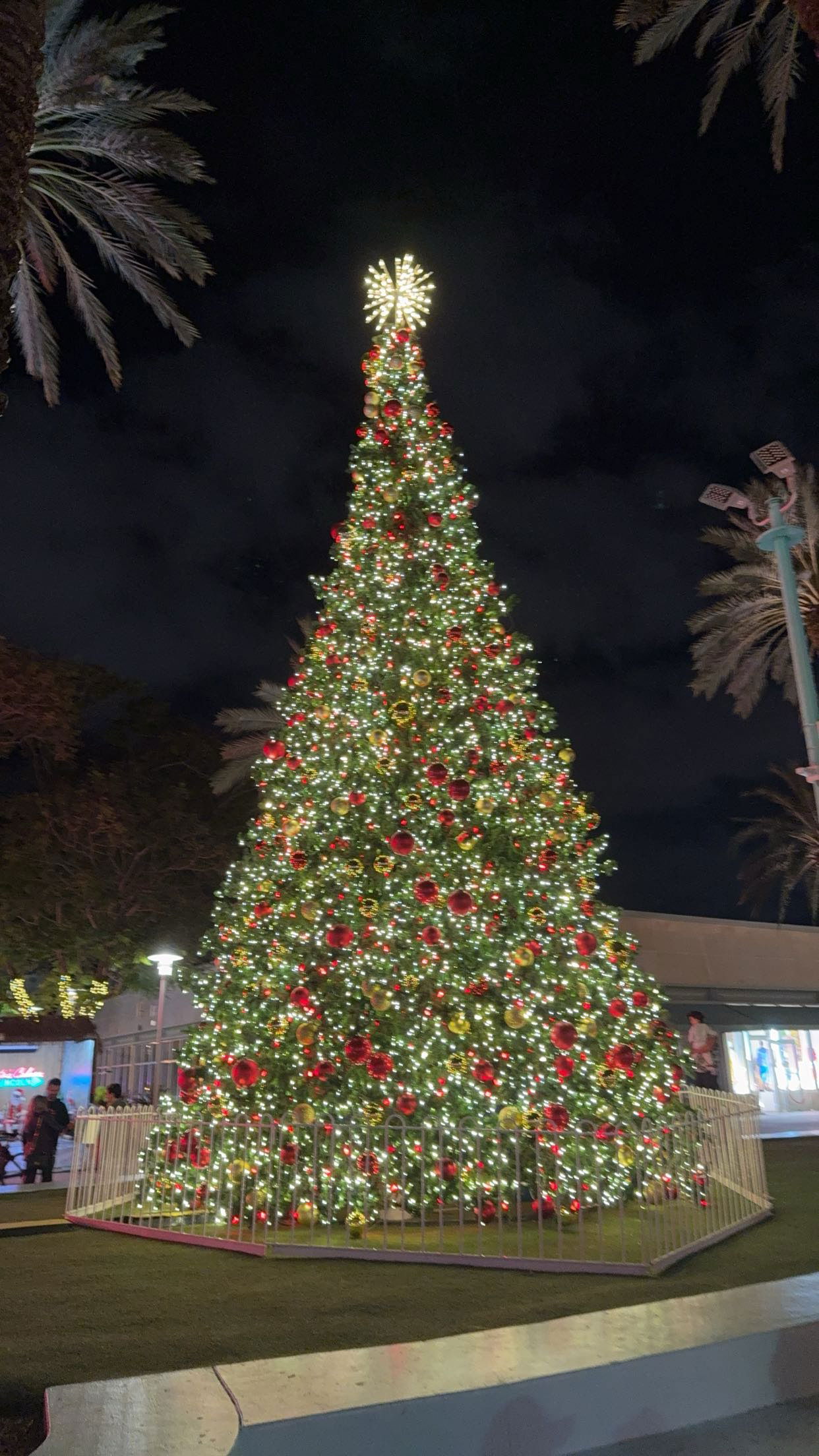 graceboor snapchat image archive image