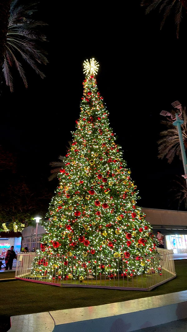 graceboor image ~ Altpins