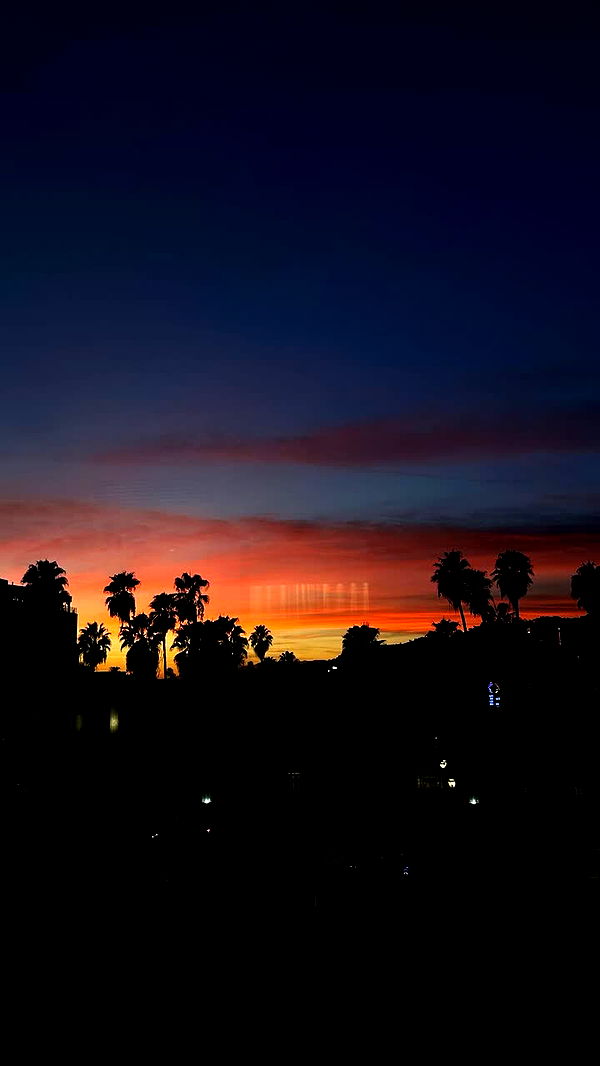 gwendolynceline image ~ Altpins