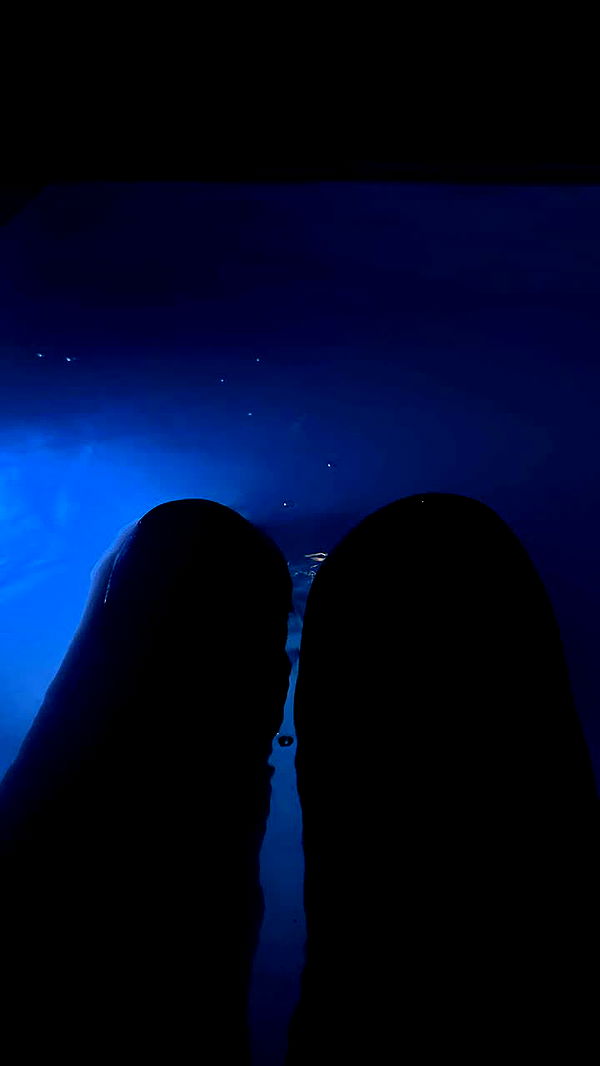 gwendolynceline image ~ Altpins