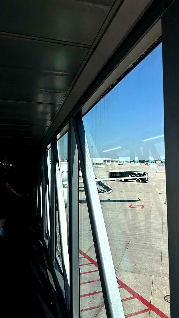 gwendolynceline image ~ Altpins