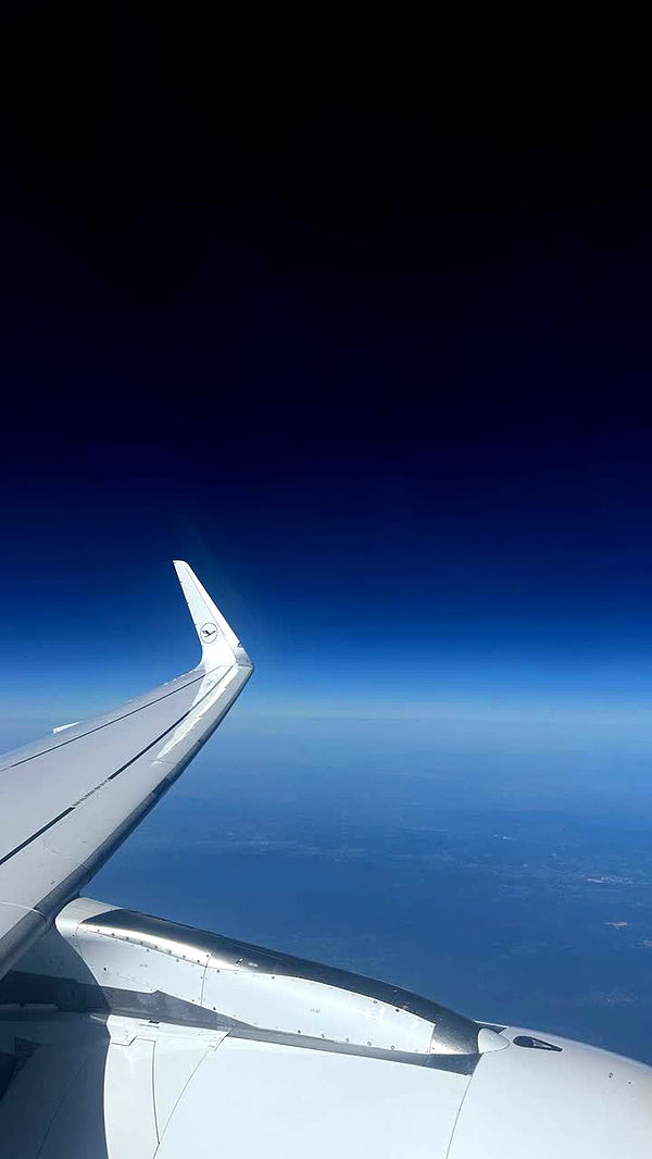 gwendolynceline image ~ Altpins