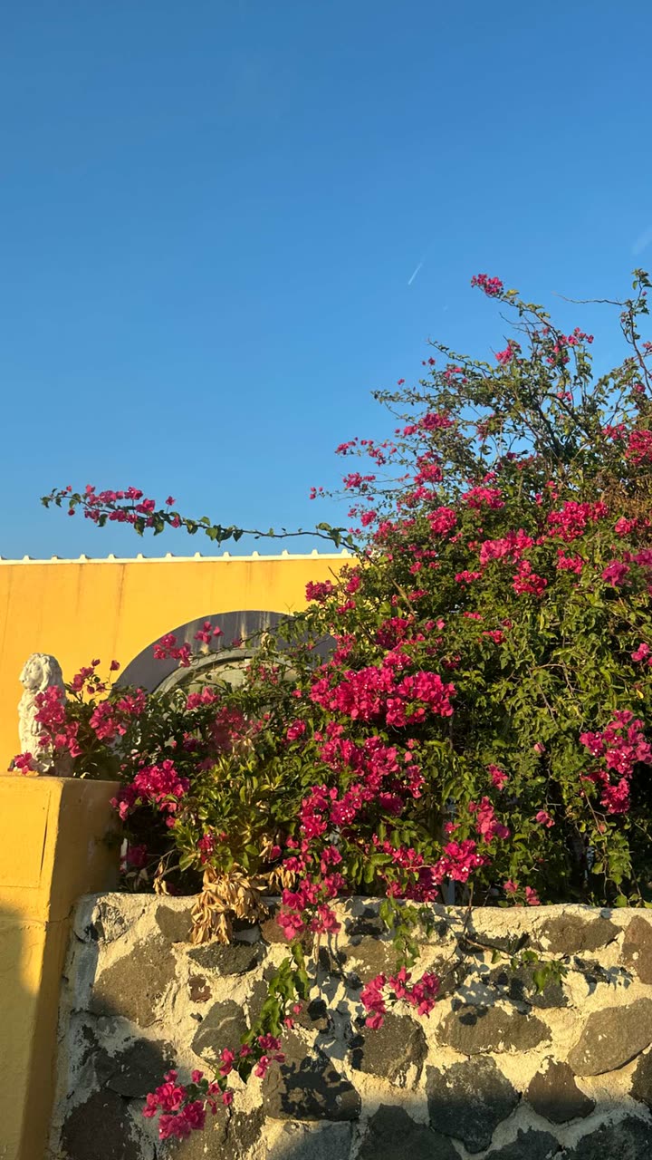 gwendolynceline snapchat image archive image