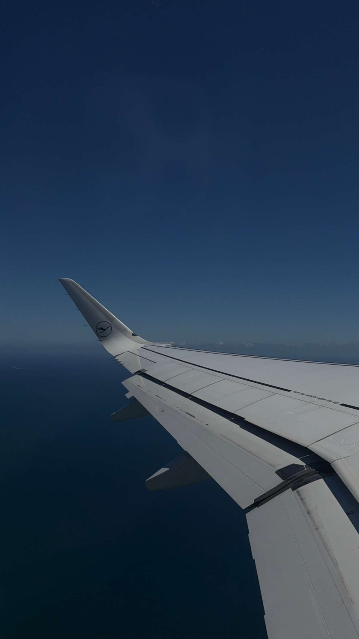 gwendolynceline snapchat image archive image