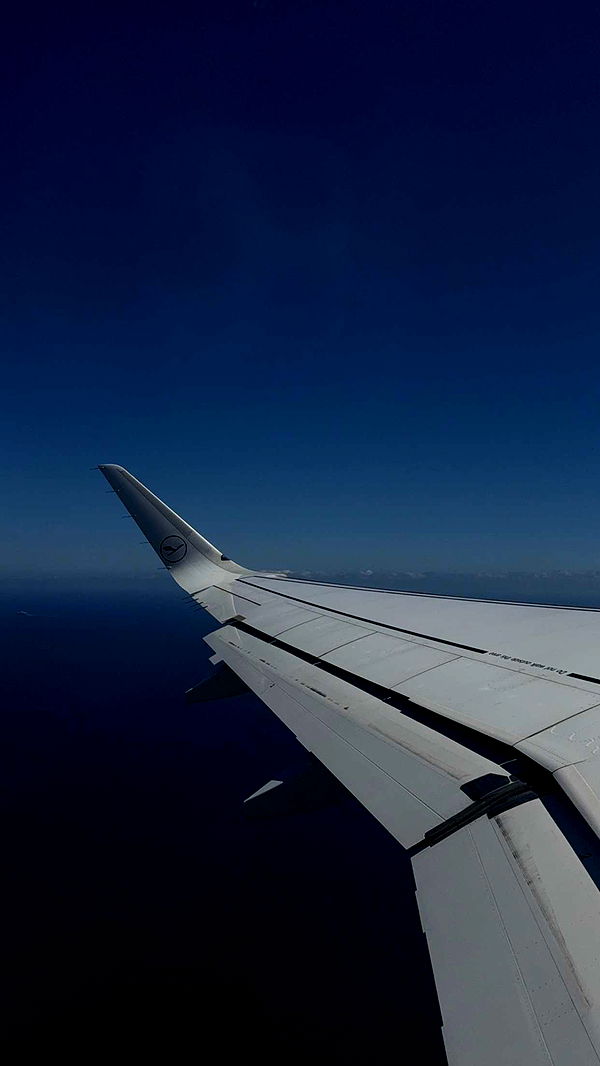 gwendolynceline image ~ Altpins