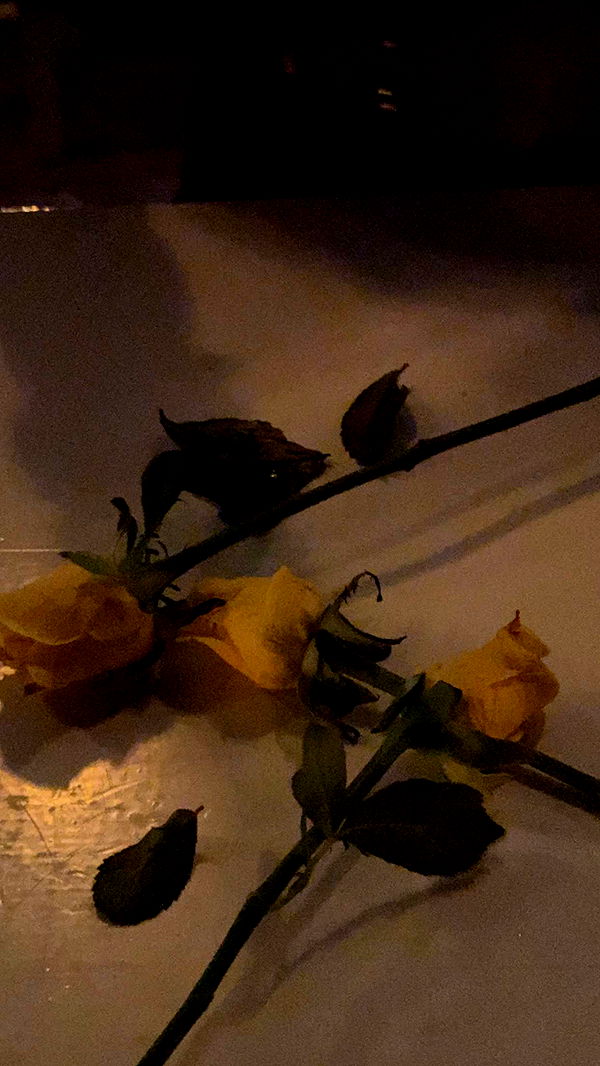 gwendolynceline image ~ Altpins