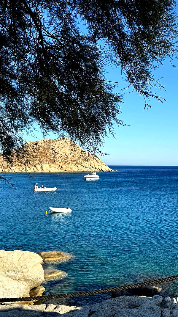 gwendolynceline image ~ Altpins