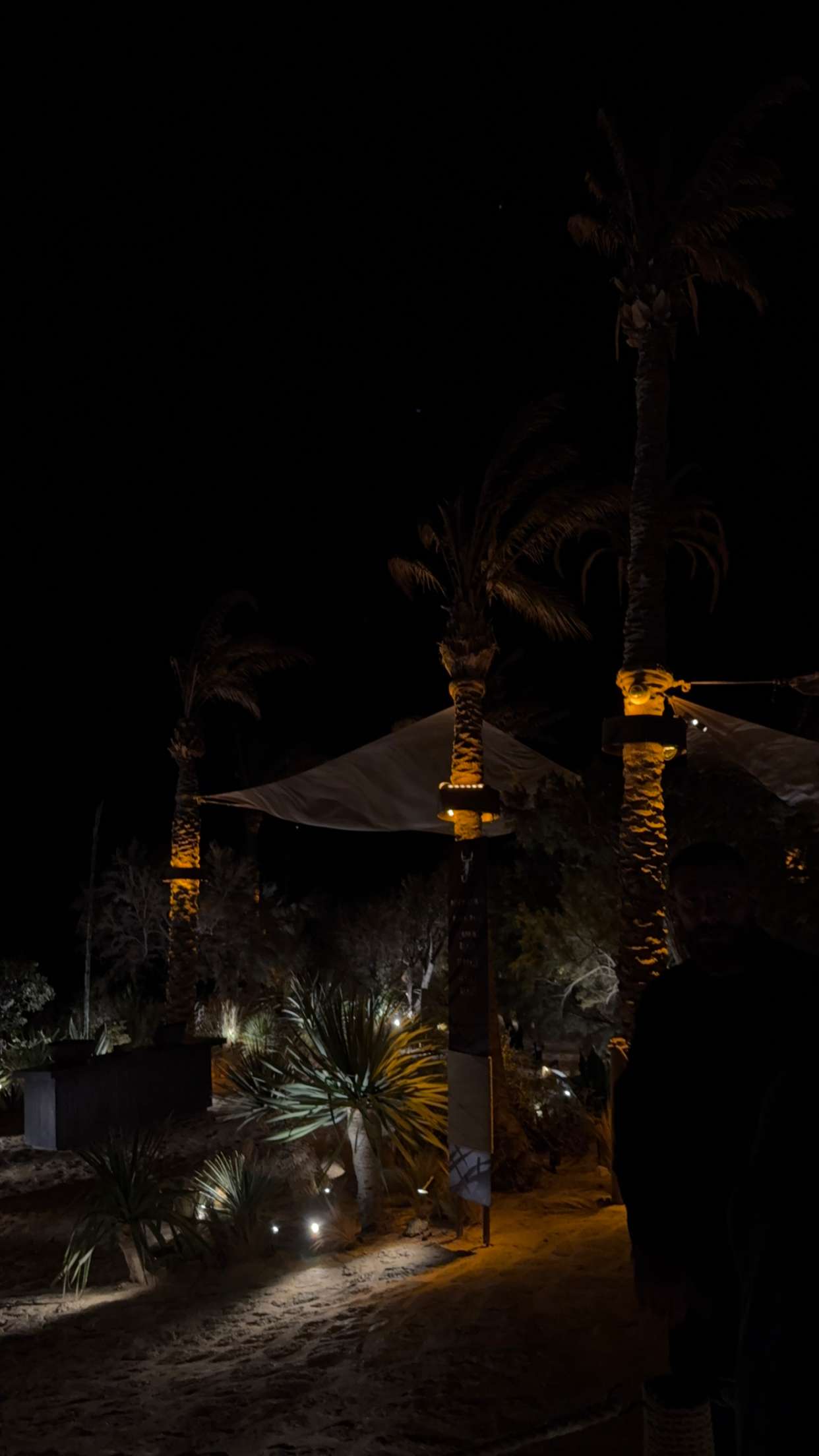 gwendolynceline snapchat image archive image