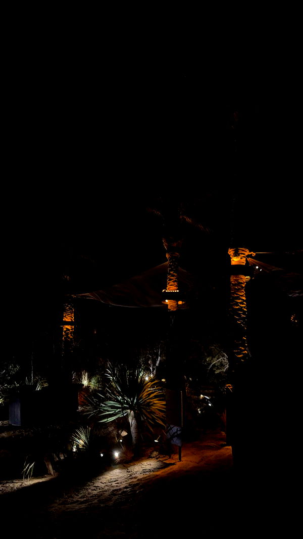 gwendolynceline image ~ Altpins