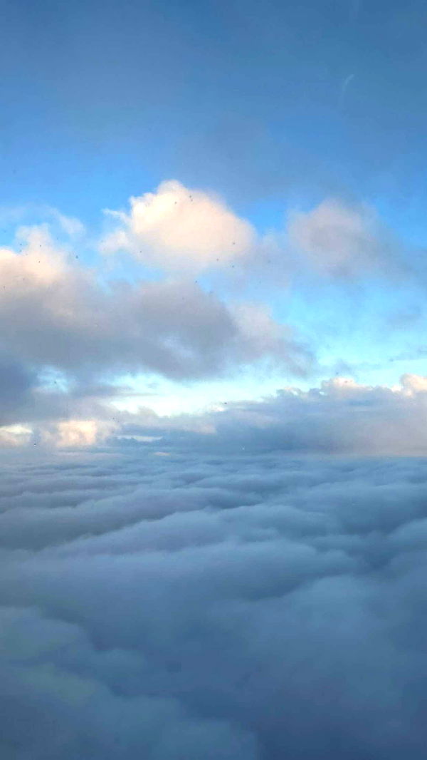 gwendolynceline image ~ Altpins