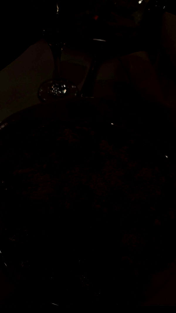 gwendolynceline image ~ Altpins