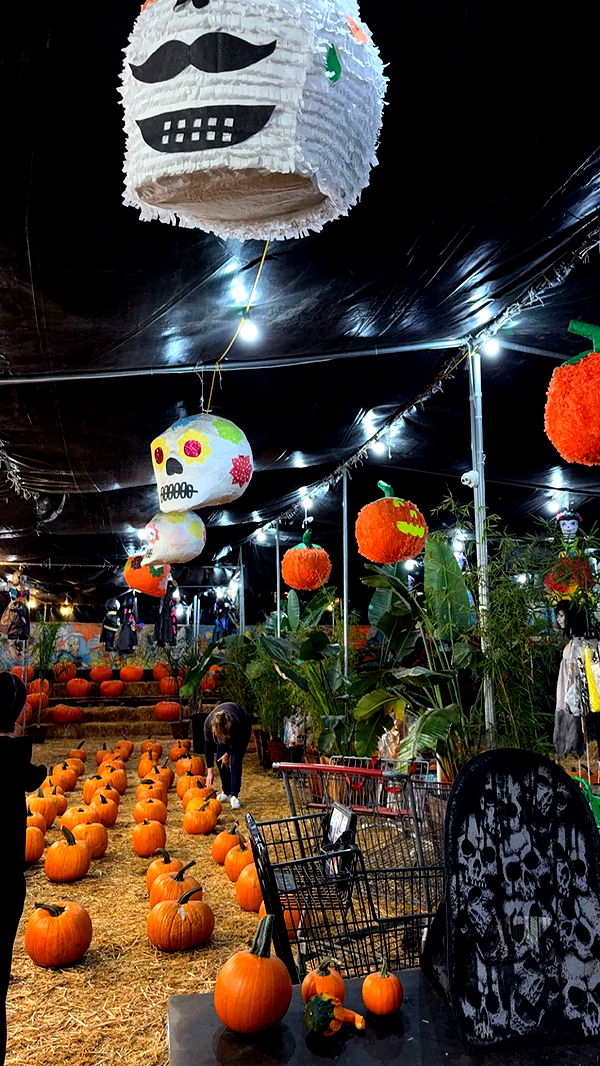 gwendolynceline image ~ Altpins