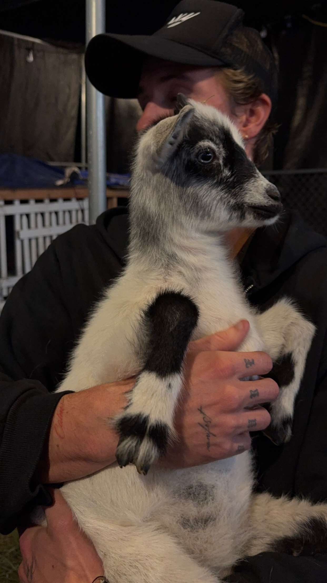 gwendolynceline snapchat image archive image