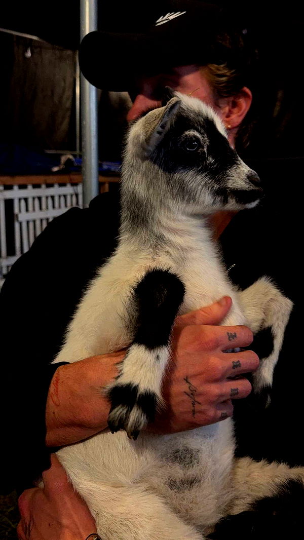 gwendolynceline image ~ Altpins